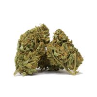 hindu-kush-medium-sized-buds-cannabis.jpg.jpg