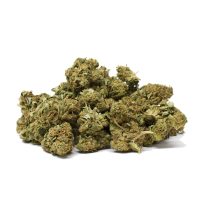 hindu-kush-medium-sized-budsjpg.jpg