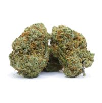 lemon-haze-buy-weed-online-canada1.jpg