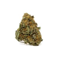 purple-diesel-online-dispensary.jpg