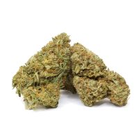 white-berry-canada-online-dispensary.jpg